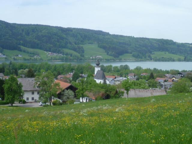 Wunderschoene Ferienwohnung Mit Seeblick Zell am Moos Buitenkant foto