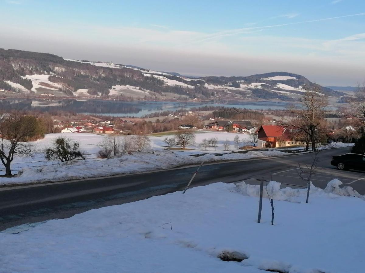Wunderschoene Ferienwohnung Mit Seeblick Zell am Moos Buitenkant foto