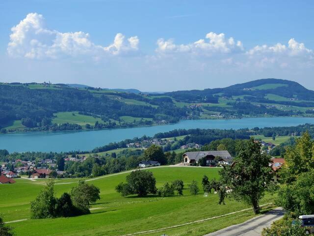Wunderschoene Ferienwohnung Mit Seeblick Zell am Moos Buitenkant foto